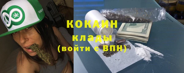 метадон Алексин