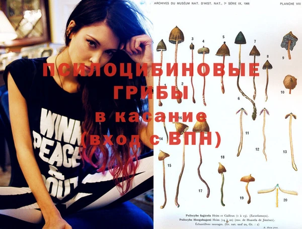 ГАЛЛЮЦИНОГЕННЫЕ ГРИБЫ Абдулино