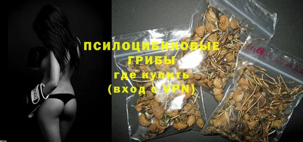 амф Алзамай