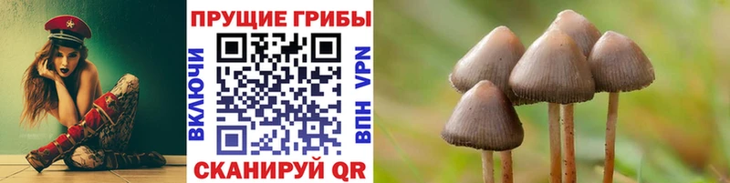 Галлюциногенные грибы Cubensis  Котово 